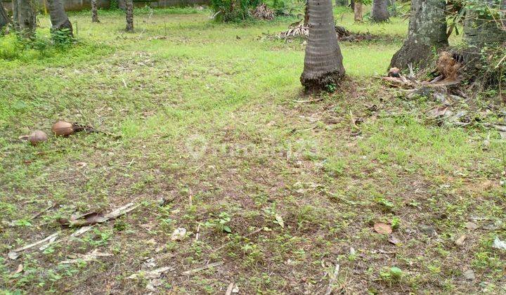 Land 9400m2 For Sale Buc Buleleng Suitable For Investment