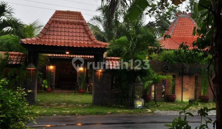 Luxury Villa For Sale In Yogyakarta Luxury Villa For Sale In Yogyakarta