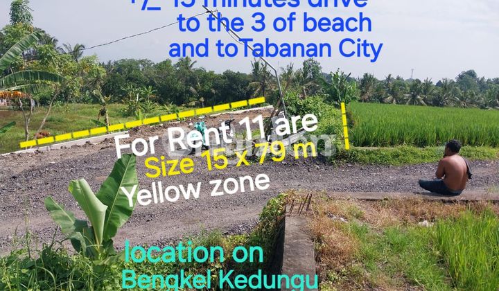 LEASEHOLD ( Tanah Dikontrakkan) 15 minutes drive to Tabanan City , Tanah Lot , Kedungu beach and Yeh Gangga beach . LEASEHOLD ( Tanah Dikontrakkan) 15 minutes drive to Tabanan City , Tanah Lot , Kedungu beach and Yeh Gangga beach .