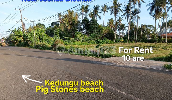 Tanah Sewa Dekat Pantai Bali Glamping dan Distrik Joshua Tabanan Bali Tanah Sewa Dekat Pantai Bali Glamping dan Distrik Joshua Tabanan Bali