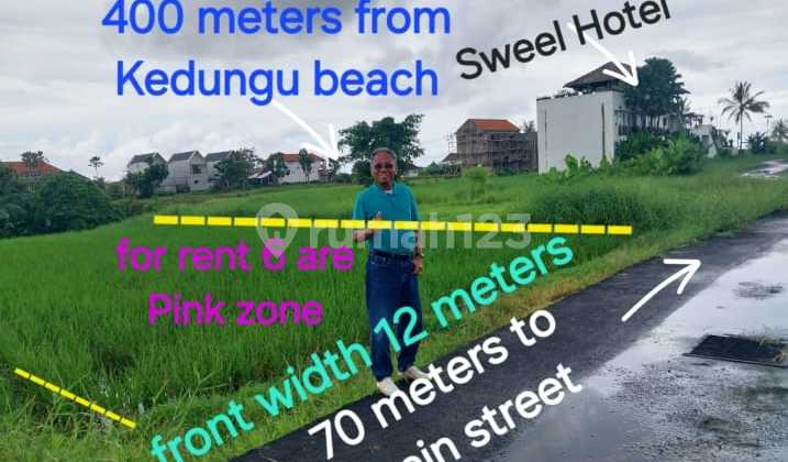 Tanah Sewa 400 Meter Dari Pantai Kedungu Tanah Sewa 400 Meter Dari Pantai Kedungu