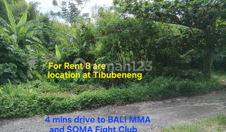 Leasehold Land 8 Are In Tibubeneng Berawa Leasehold Land 8 Are In Tibubeneng Berawa