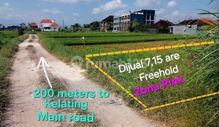 Land for Sale Near Soori Bali Hotel and Kelating Beach Bali