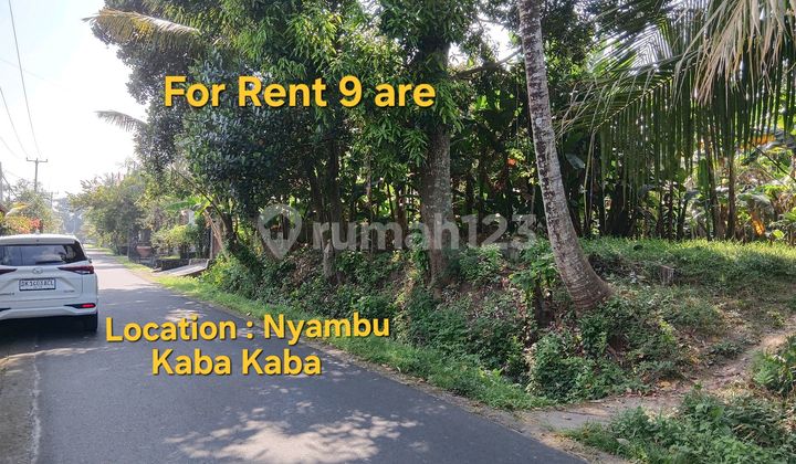 Leasehold Land In Nyambu Kaba Kaba Tabanan Bali