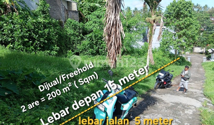 Land for Sale 2 Are Near Wisma Prashanti Hospital in Tabanan, Bali. Land for Sale 2 Are Near Wisma Prashanti Hospital in Tabanan, Bali.