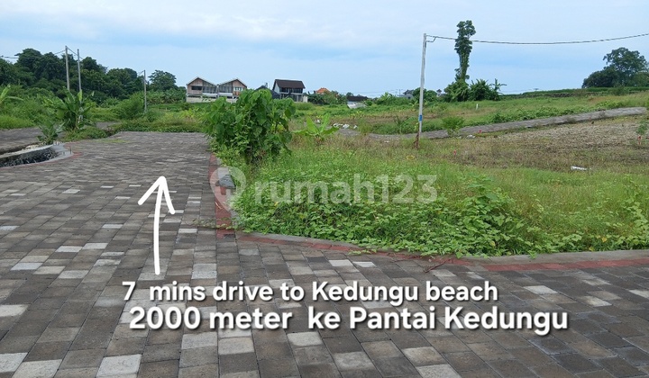 Tanah Dijual SHM 225 M2 Dekat Pantai Kedungu Tabanan Bali Tanah Dijual SHM 225 M2 Dekat Pantai Kedungu Tabanan Bali