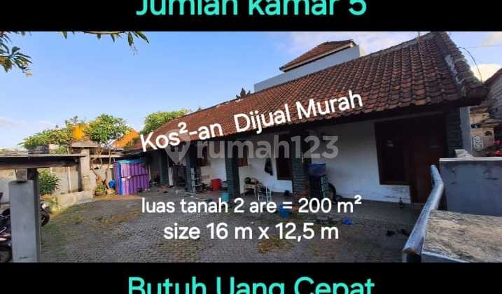 Kos2an For Sale Cheap In Peguyangan Denpasar Bali Kos2an For Sale Cheap In Peguyangan Denpasar Bali