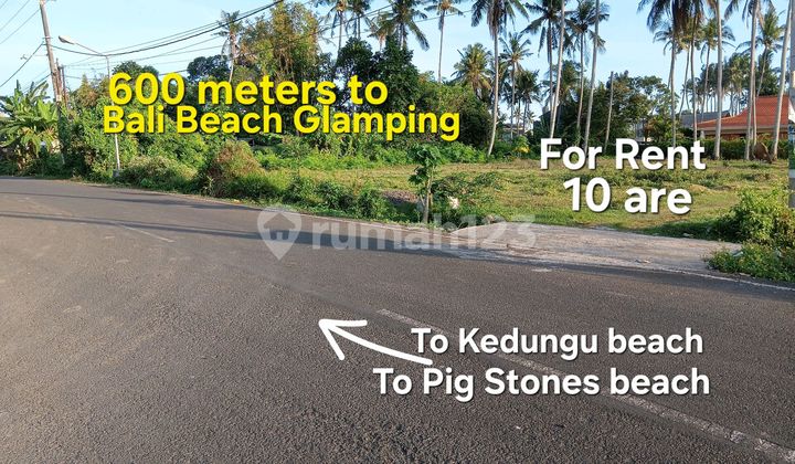 Tanah Sewa Dekat Pantai Bali Glamping dan Distrik Joshua Tabanan Bali Tanah Sewa Dekat Pantai Bali Glamping dan Distrik Joshua Tabanan Bali