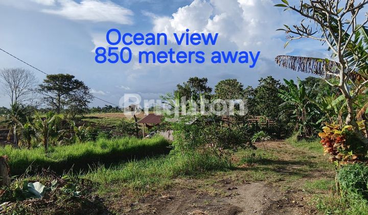 LAND FOR SALE (FREEHOLD) at YEH GANGGA BEACH, Tabanan, BALI. LAND FOR SALE (FREEHOLD) at YEH GANGGA BEACH, Tabanan, BALI.