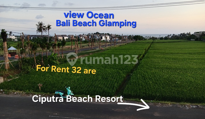 Tanah Sewa Dekat Pantai Bali Glamping dan Distrik Joshua Tabanan Bali
