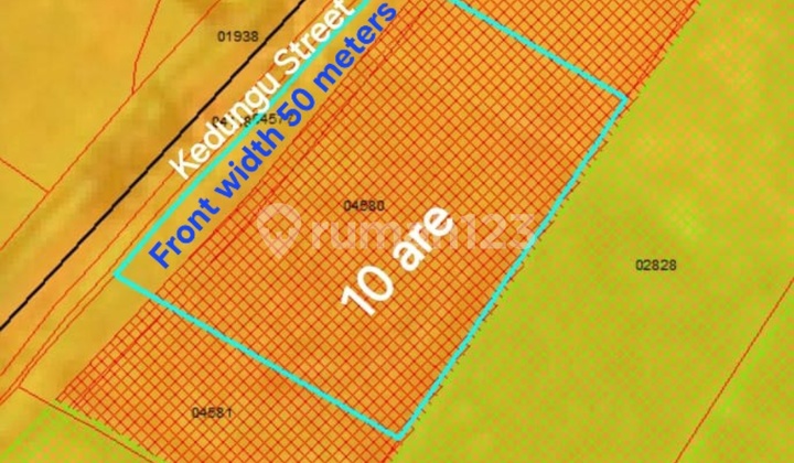 Tanah Disewakan Dekat Pantai Kedungu Bali Tanah Disewakan Dekat Pantai Kedungu Bali