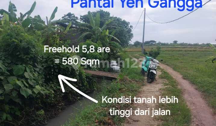 Tanah Dijual Dekat Pantai Yeh Gsngga Di Tabanan Bali Tanah Dijual Dekat Pantai Yeh Gsngga Di Tabanan Bali