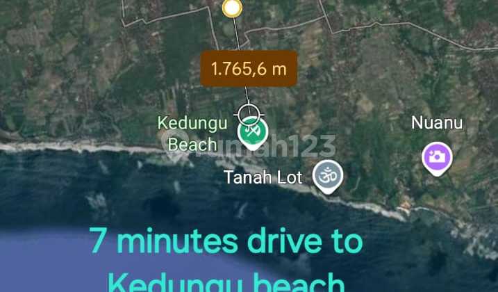 My hand found dogs while clearing the land... My hand found dogs while clearing the land...