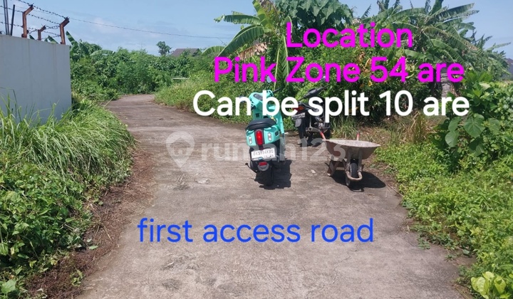 Tanah Disewa Di Pantai Yeh Gangga Tanah Disewa Di Pantai Yeh Gangga