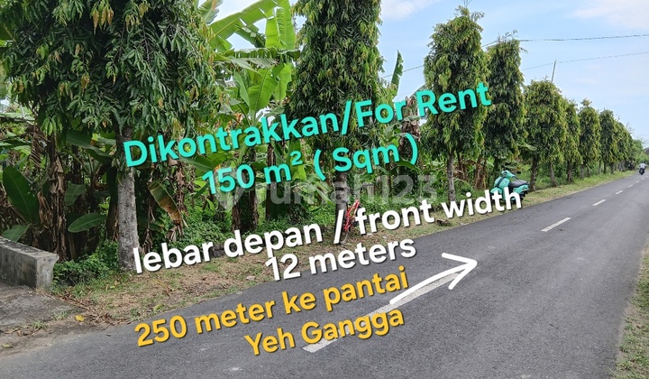Leasehold Land 250 Meters From Yeh Gangga Beach Tabanan Bali Leasehold Land 250 Meters From Yeh Gangga Beach Tabanan Bali