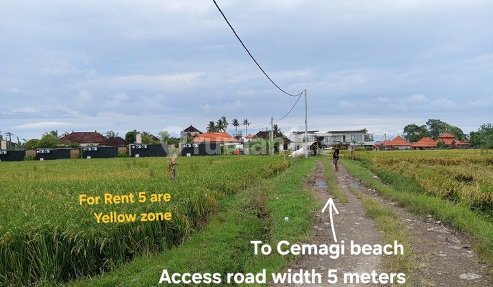 Land Leased 5 Ares at Cemagi Beach Bali