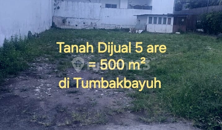 Tanah Dijual 5 Are Di Jl Tumbakbayuh Bali Tanah Dijual 5 Are Di Jl Tumbakbayuh Bali