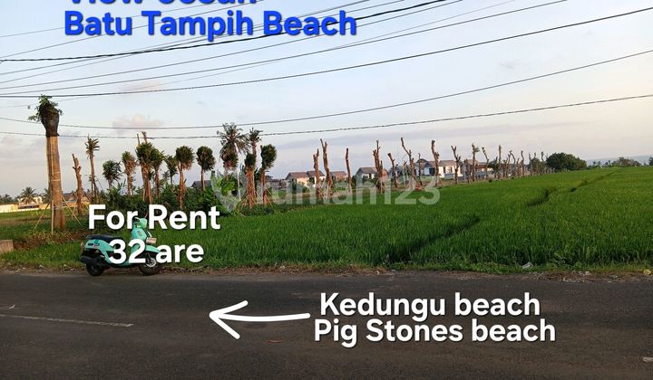Tanah Sewa Dekat Pantai Bali Glamping dan Distrik Joshua Tabanan Bali