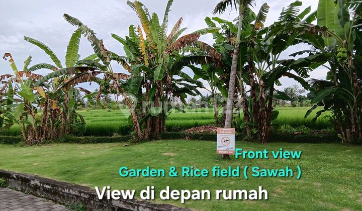 Rumah Dijual di Greenlot Residence Pererenan Bali 2