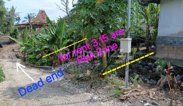 Tanah Sewa di Beraban Pantai Kedungu Tabanan Bali Tanah Sewa di Beraban Pantai Kedungu Tabanan Bali