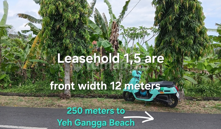 Land Leased at Yeh Gangga Beach Tabanan Bali Land Leased at Yeh Gangga Beach Tabanan Bali