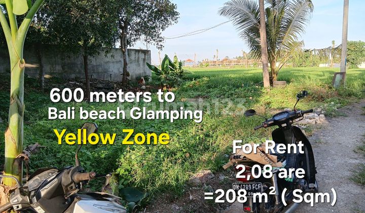 Tanah Sewa Dekat Bali Beach Glamping Tabanan Bali