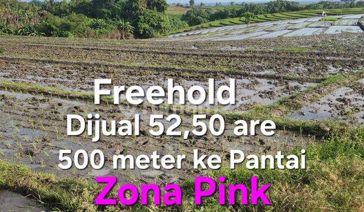 Land for Sale in Pink Zone 500 Meters from the Beach in Tabanan Bali
