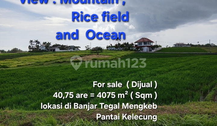 Land for Sale in Banjar Tegal Mengkeb, Tabanan, Bali