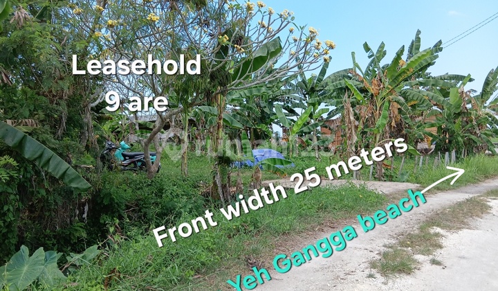 Tanah Sewa Dekat Hotel Waka Gangga di X7