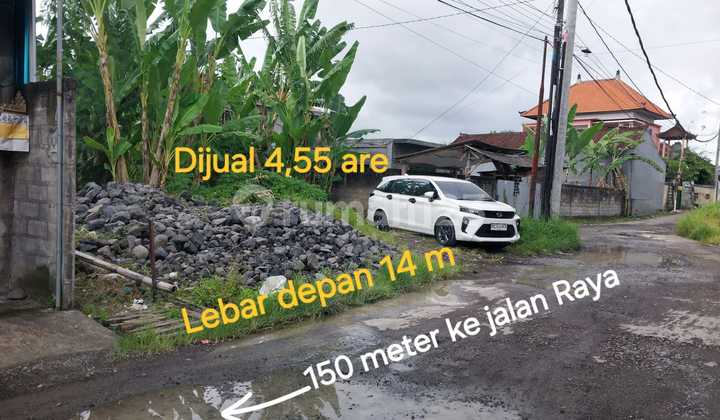 Land for Sale Jl Tanah Lot Pandakgede Tabanan Bali