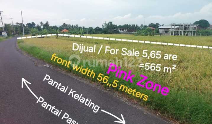 Tanah Dijual Butuh Uang Cepat di Krambitan Tabanan Bali Tanah Dijual Butuh Uang Cepat di Krambitan Tabanan Bali