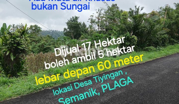LAND FOR SALE, SUITABLE for Pig Farming and Coffee & Citrus Plantation in Tiyingan Village, Semanik. Plaga, 2 Hours from Ngurah Rai Airport, Denpasar. LAND FOR SALE, SUITABLE for Pig Farming and Coffee & Citrus Plantation in Tiyingan Village, Semanik. Plaga, 2 Hours from Ngurah Rai Airport, Denpasar.