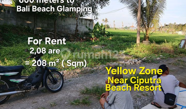 Tanah Sewa Dekat Bali Beach Glamping Tabanan Bali