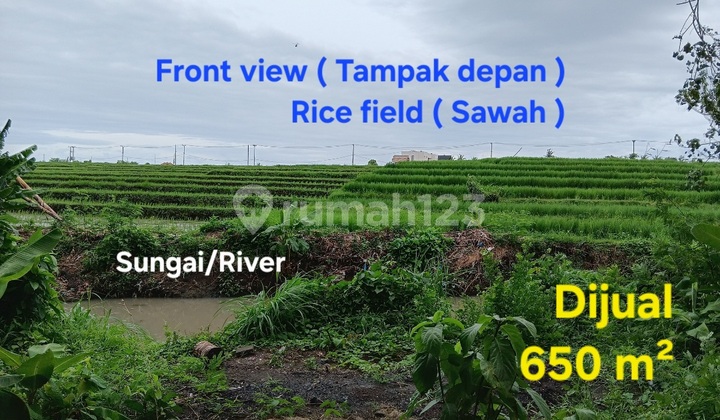 Tanah Dijual Dekat Tanah Lot dan Kedungu Tabanan Bali Tanah Dijual Dekat Tanah Lot dan Kedungu Tabanan Bali