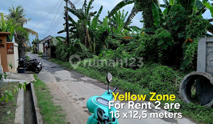 Tanah Hak Sewa Dekat Pantai Kedungu di Tabanan Bali