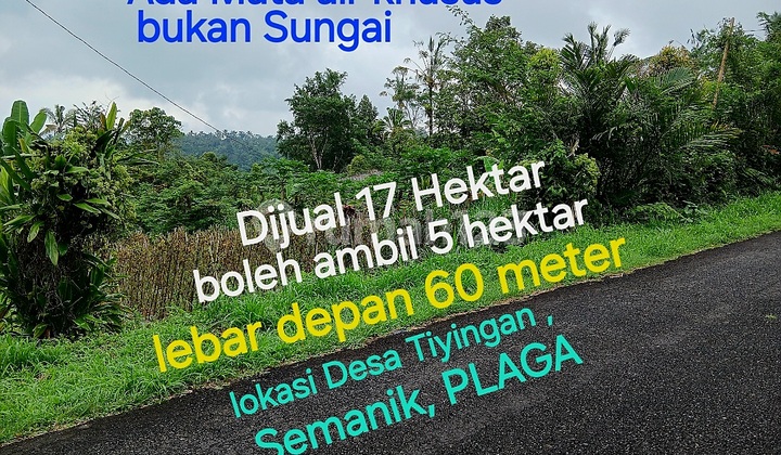 Land for Sale in Semanik Tiyingan, Plaga, Petang, Badung Regency