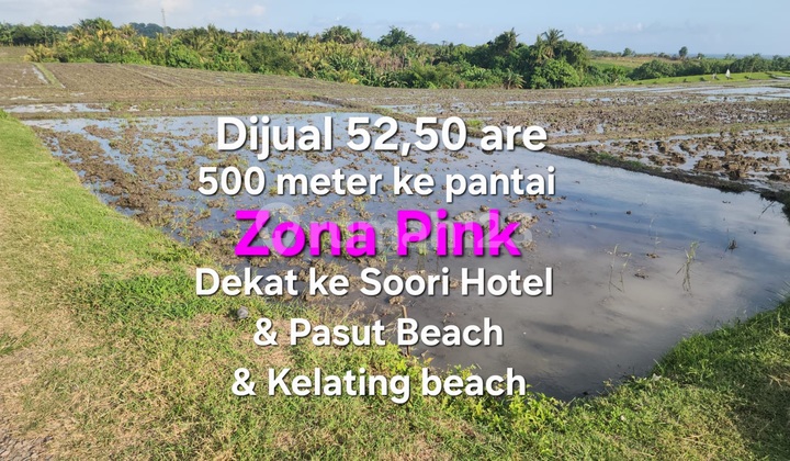 Land for Sale in Pink Zone 500 Meters from the Beach in Tabanan Bali