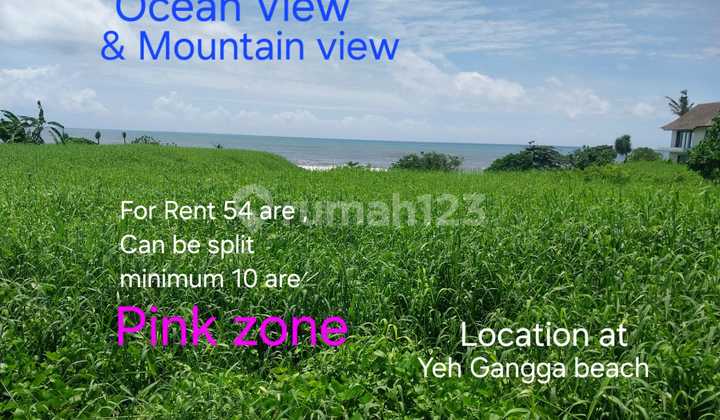 Tanah Disewa Di Pantai Yeh Gangga Tanah Disewa Di Pantai Yeh Gangga