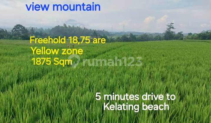 For Sale Productive Rice Field Near Kelating Beach For Sale Productive Rice Field Near Kelating Beach