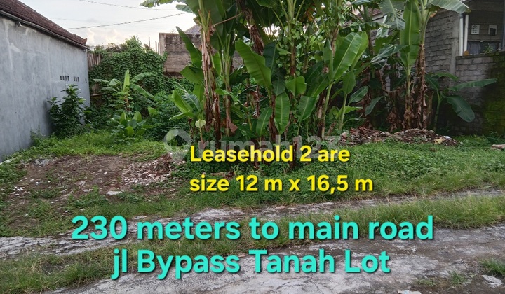 Leasehold Land 2 Are Near Tanah Lot And Kedungu Beach