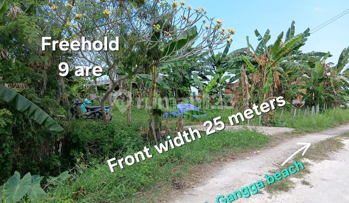 Land For Sale Near Waka Gangga Hotel At Yeh Gangga Beach Bali