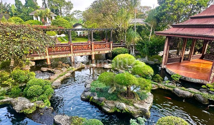 3 Villla dan kolam renang di Bogor 3 Villla dan kolam renang di Bogor