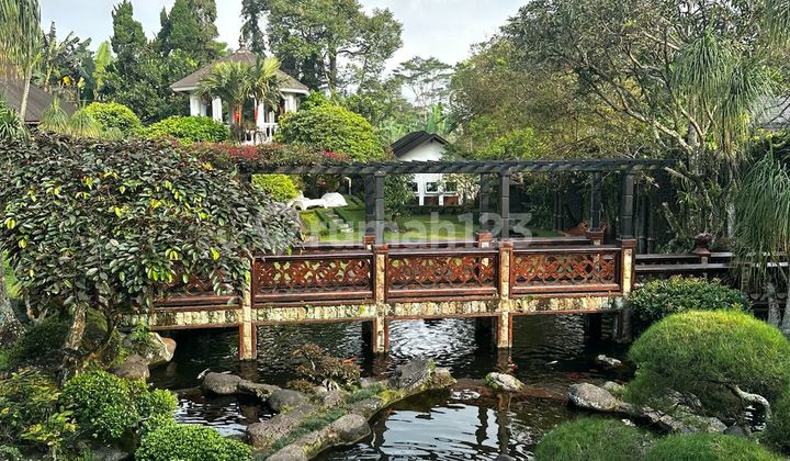 3 Villla dan kolam renang  di Bogor 2