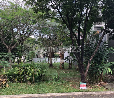 FOR SALE Foresta Giardina plot 300 sqm, garden law. FOR SALE Foresta Giardina plot 300 sqm, garden law.