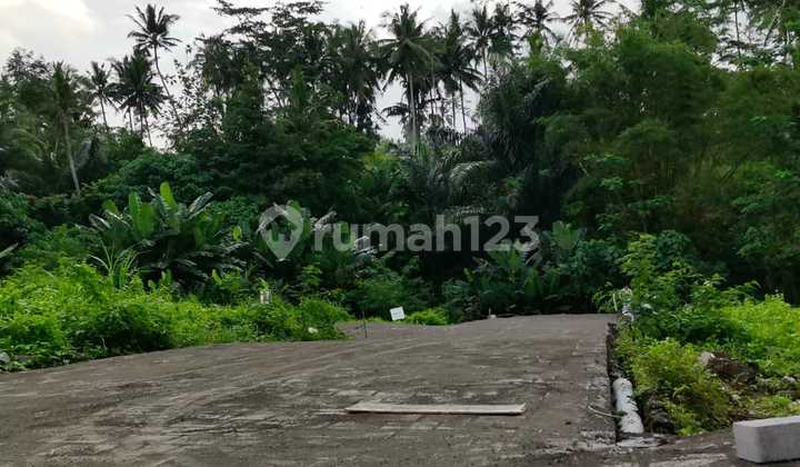 Harga Tanah di Gianyar Cepat Naik - Amankan Kavling Sebelum Kehabisan Harga Tanah di Gianyar Cepat Naik - Amankan Kavling Sebelum Kehabisan