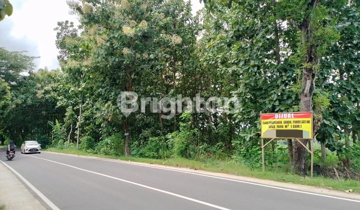 DIJUAL TANAH MURAH DI NGAWI PINGGIR JL PROVINSI DIJUAL TANAH MURAH DI NGAWI PINGGIR JL PROVINSI