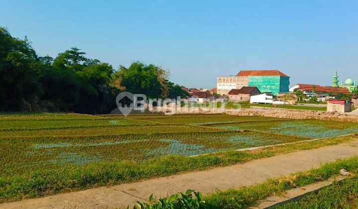 TANAH SAWAH TEGAL GEDE, KARANGANYAR