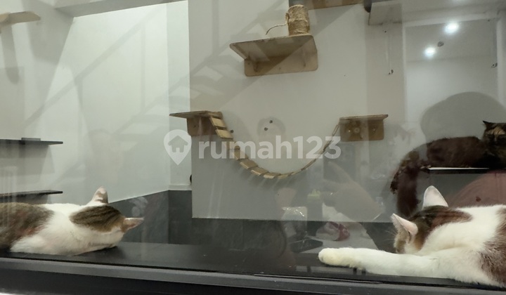 Ciumbeluit 3 Apartment, 7th Floor, Ready to Occupancy, Fully Furnished. 2