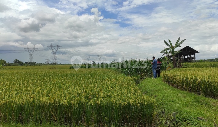 Dijual Via Lelang Tanah di lamongan 1