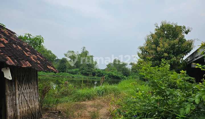 Dijual Via Lelang tanah Murah di Gresik 1